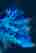 STEMMER IMAGING AG (e-Roadshow)