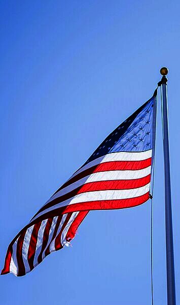 HAL-Studie zur US-Wahl