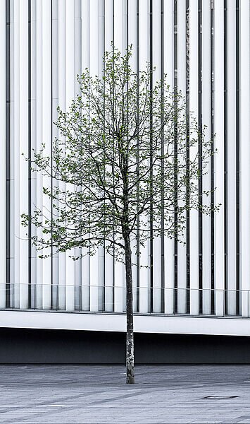 Plötzlich Erbe: Fünf Erkenntnisse, die das Erben einfacher machen