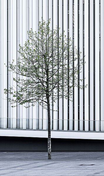 Nachhaltig investieren