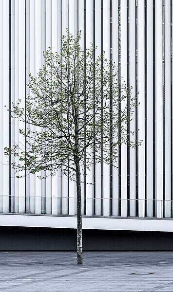 Nachhaltiges Investieren. Aber wie?