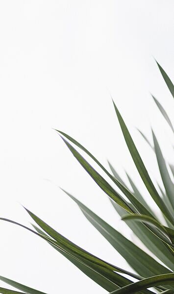 H&A Global Investment Management GmbH verstärkt Geschäftsführung