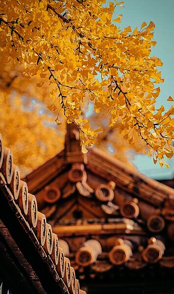 China: Wie nachhaltig ist das Re-Opening?