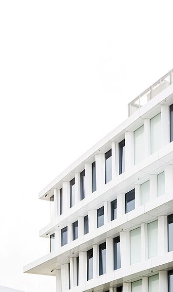 Multi-Asset-Ausblick 2021: Animal Spirits treiben Kurse in H1