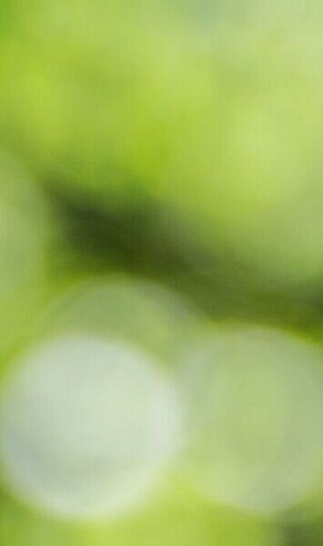 Nachhaltig fasten? Das geht!