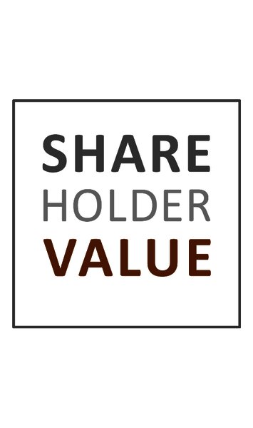 Shareholder Value Management AG
