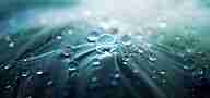 ein Blatt an dem das Wasser abperlt
