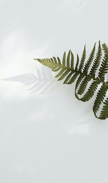 Renditetreiber fürs Depot