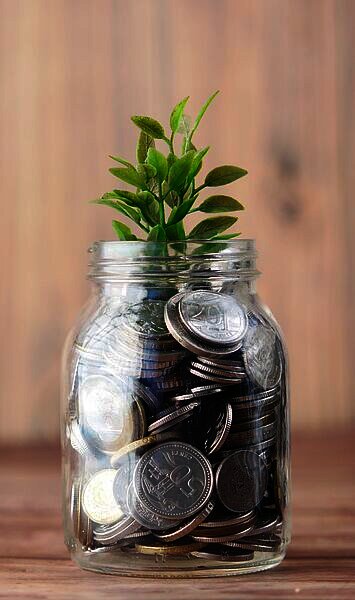 Zeedin startet mit attraktiven Zinssätzen auf Tages- und Festgeld – auch auf US-Dollar