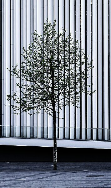 NFTs - eine Revolution in der Kunst?