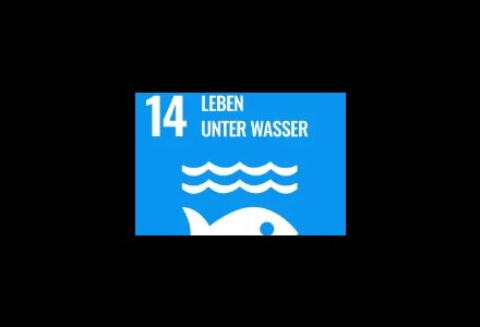 Ziel 14: Ozeane, Meere und Meeresressourcen im Sinne nachhaltiger Entwicklung erhalten und nachhaltig nutzen