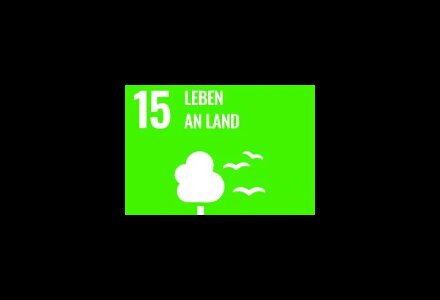 Ziel 15: Landökosysteme schützen, wiederherstellen und ihre nachhaltige Nutzung fördern, Wälder nachhaltig bewirtschaften, Wüstenbildung bekämpfen, Bodendegradation beenden und umkehren und dem Verlust der biologischen Vielfalt ein Ende setzen