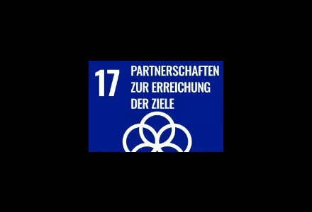 Ziel 17: Umsetzungsmittel stärken und die Globale Partnerschaft für nachhaltige Entwicklung mit neuem Leben erfüllen