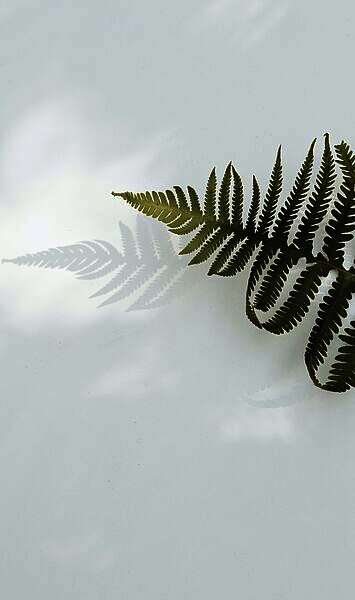 Renditetreiber fürs Depot