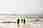 Zeedin Blog | #ZoomIn with Zeedin | Geld sparen vor Wegfahren | HAL