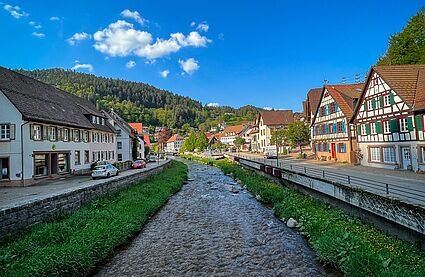 Zeedin Blog | #ZoomIn with Zeedin | Regionen mit Zukunftspotenzial | HAL